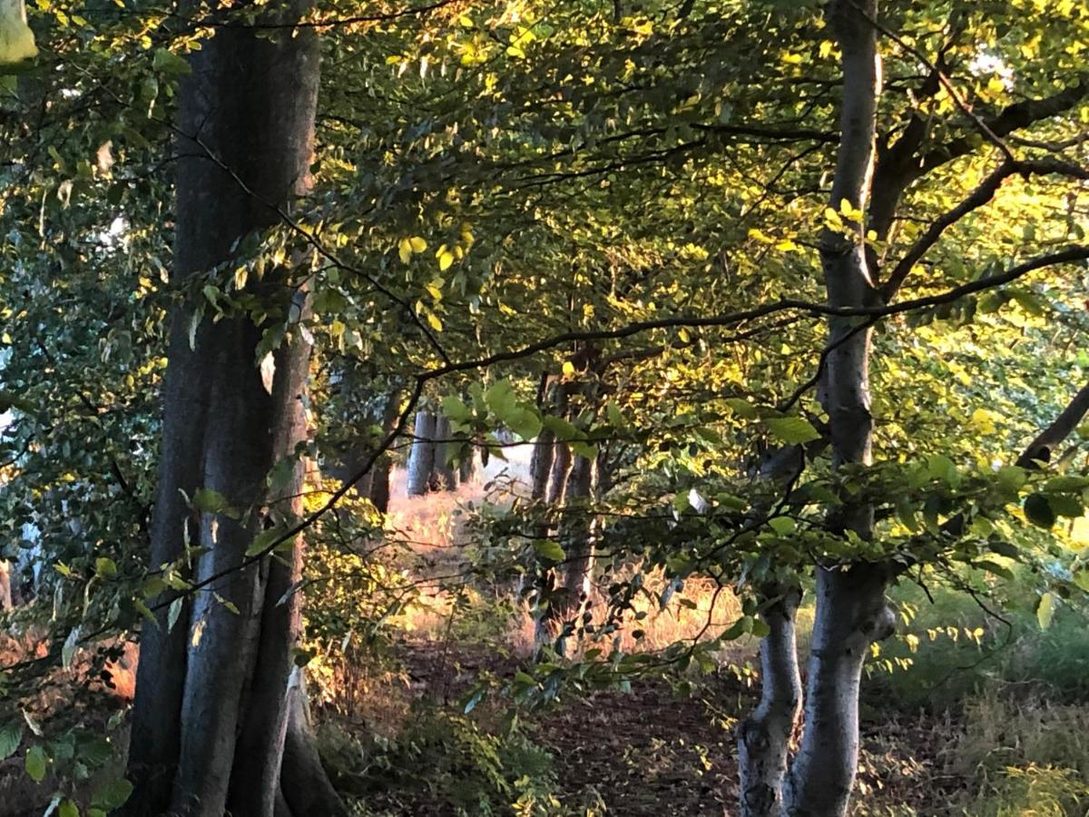 Brookfield House Warcop Lejlighed Eksteriør billede